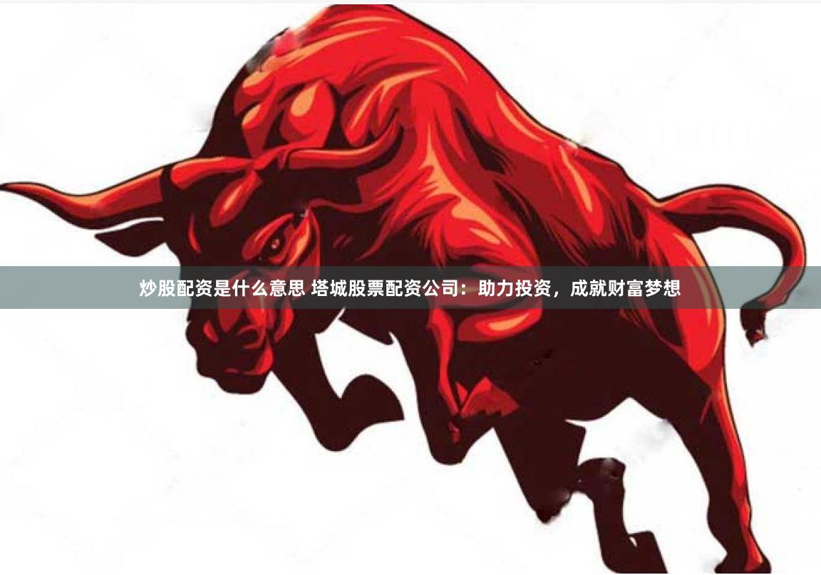 炒股配资是什么意思 塔城股票配资公司：助力投资，成就财富梦想