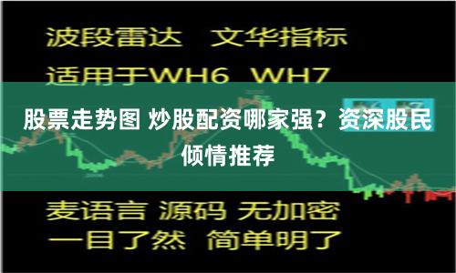 股票走势图 炒股配资哪家强？资深股民倾情推荐