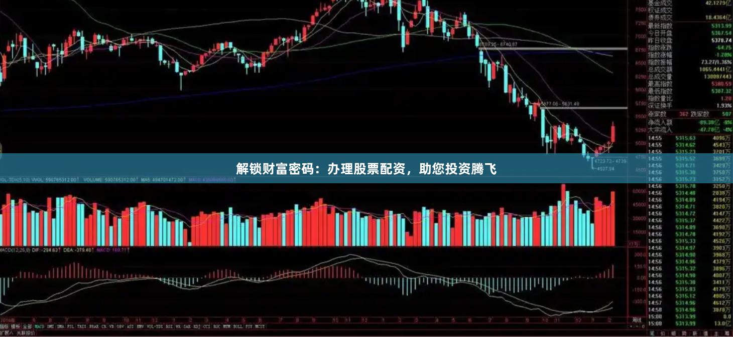 解锁财富密码：办理股票配资，助您投资腾飞