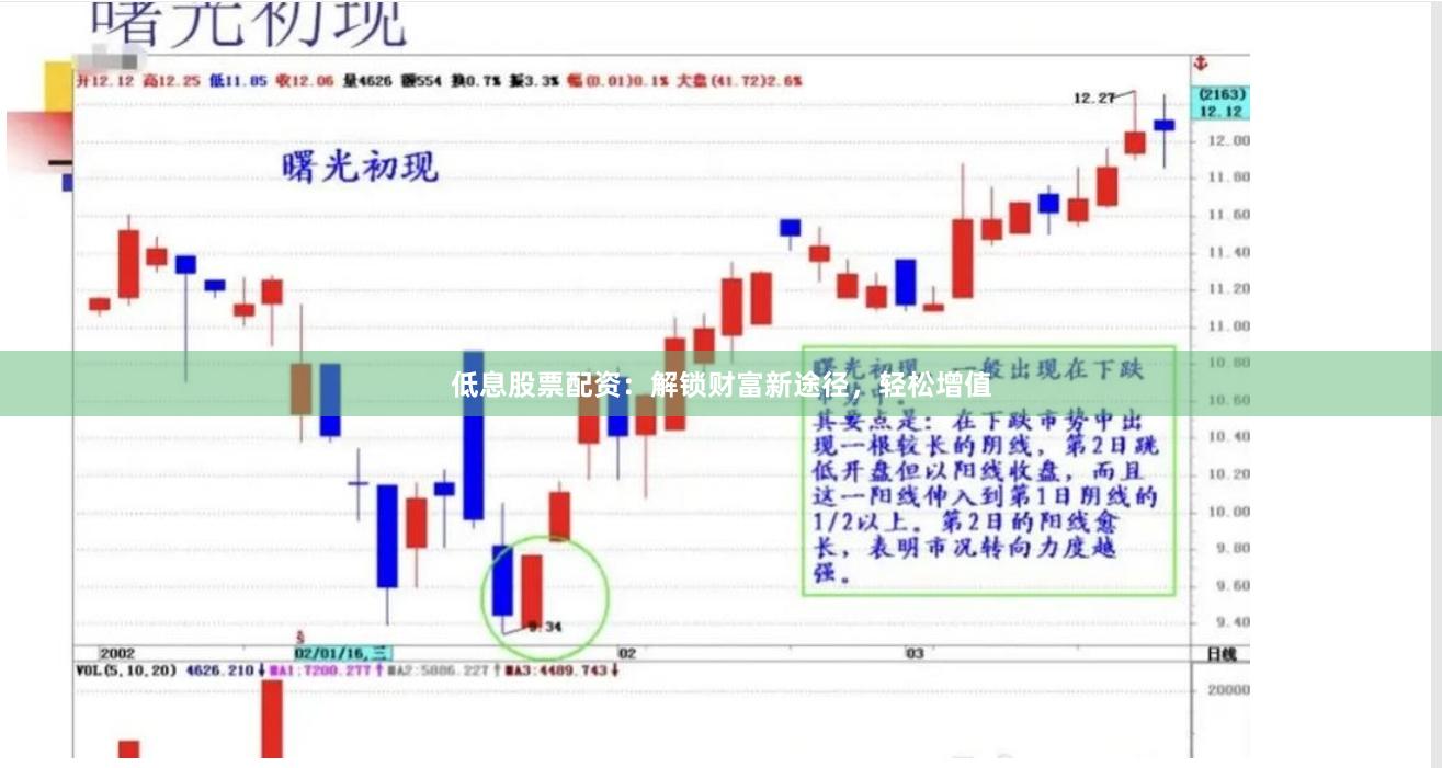 低息股票配资：解锁财富新途径，轻松增值
